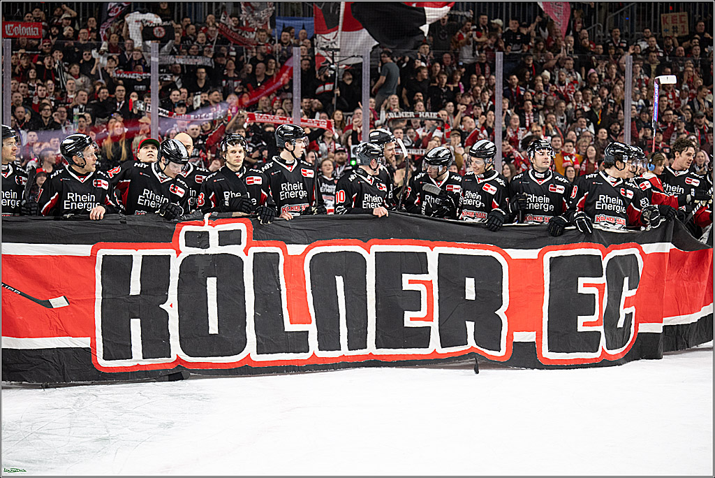 PENNY DEL; Koelner Haie-Duesseldorfer EG ; Koeln, 16.02.2025
